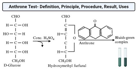 carbohydrate estimation by anthrone method|Anthrone Test: Description, Principle, Reagent .